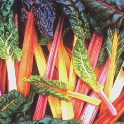 CYBEXIS Hardy Seeds of Vegetable Swiss Chard Rainbow700 Seeds Seed(700 per packet)