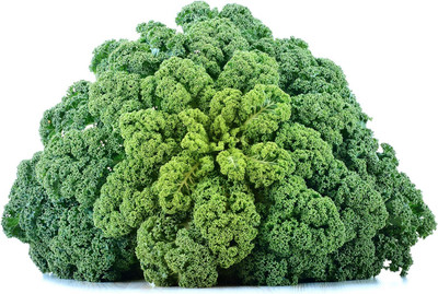 WILLVINE PAU -VII Dwarf Blue Curled Scotch Kale [25g] Seed(7500 per packet)
