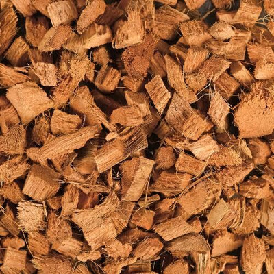 GUI CocoHusk Seed(200 per packet)
