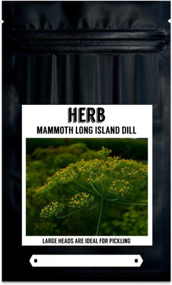 CYBEXIS LX-13 - Alligator Giant Dill - (2250 Seeds) Seed(2250 per packet)