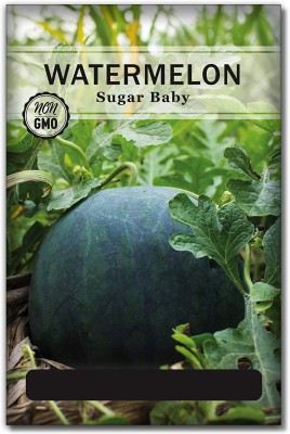 CYBEXIS XLR-57 - Sugar Baby Watermelon - (450 Seeds) Seed(450 per packet)