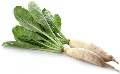 CYBEXIS RADISH LONG SEEDS800 Seeds Seed(800 per packet)
