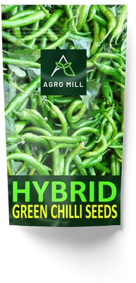 WILLVINE MEH -XI F1 Hybrid Chilli (Mirch) Seeds[25gm, 5000 Seeds] Seed(5000 per packet)