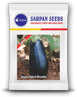the green dotcom BRINJAL SEEDS Seed(105 per packet)