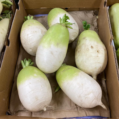 Qualtivate RES-2A Daikon Radish-Korean Type Seed(300 per packet)