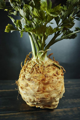 Qualtivate VXI-52 Giant Prague Celeriac - Celery Seeds Seed(500 per packet)