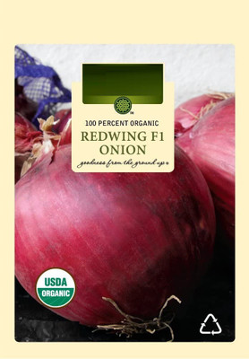 CYBEXIS TLX-75 - Redwing F1 Onion - (4500 Seeds) Seed(4500 per packet)