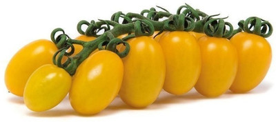 Quentova Tomato-XLI-10I Seed(300 per packet)