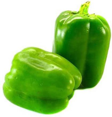 CYBEXIS TLX-24 - Green Capsicum Vegetable - (150 Seeds) Seed(150 per packet)