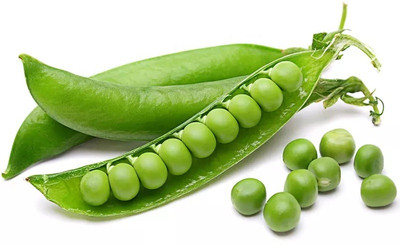 MYLAWN (Matar) Peas Seeds (मटर के बीज) Seed(1000 per packet)