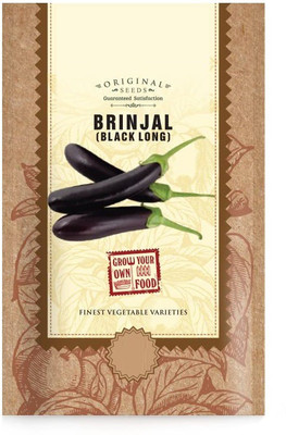 CYBEXIS VXI-70 - Long Black Brinjal Vegetable - (1350 Seeds) Seed(1350 per packet)