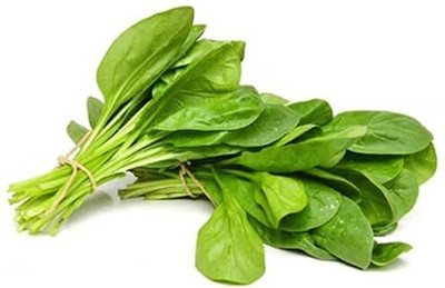 Qualtivate PUAS-9A Palak or Spinach Seeds Seed(300 per packet)