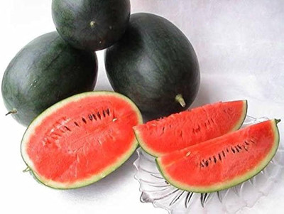BJUBAS black watermelon seeds pack of 44 Seed(44 per packet)