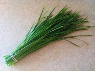 CYBEXIS PAU-79 - Chinese Chives Vegetable - (2250 Seeds) Seed(2250 per packet)