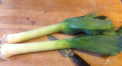 CYBEXIS Best for Storage or Fresh use Leek Seeds 4000 Seeds Seed(4000 per packet)