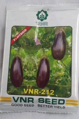 THAMMAR VNR BRINJAL Seed (2000 per packet) Seed(10 per packet)