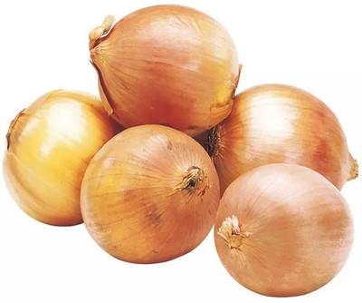 Quentova Yellow Sweet Onion-LTK-4Z Seed(250 per packet)