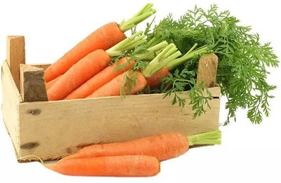 Quentova Orange Carrot (Gajar)-11O-NTL Seed(200 per packet)