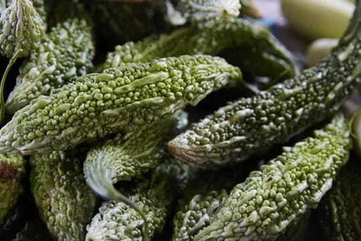 WILLWE F1 BEST QUALITY BITTER GOURD SEEDS Seed(32 per packet)