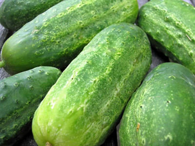 MOTREX Slicing Cucumber,Heirloom Seeds Seed(300 per packet)