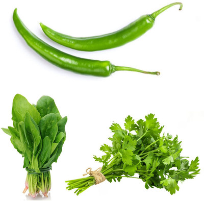 PSAgroinput Palakbhaji (spinach)- Daniya(coriander )- Chilli(mirchi)pack of 3 Seed(100 g)