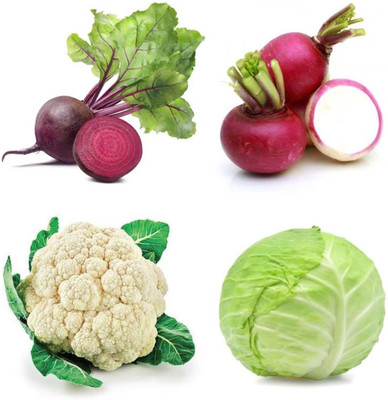 PSAgroinput Pattagobhi-PhoolGobhi-Shaljam-Chukundar Pack of 4 Seed(100 g)