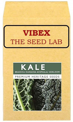 CYBEXIS Heirloom Kale Hybrid Seeds2000 Seeds Seed(2000 per packet)