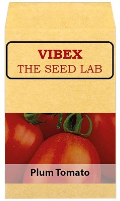 CYBEXIS Plum Tomato Hybrid Seeds2000 Seeds Seed(2000 per packet)