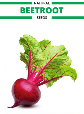WILLVINE PURPLE TURNIP SHALGAM F1 HYBRID SEEDS-[2000 Seeds] Seed(2000 per packet)