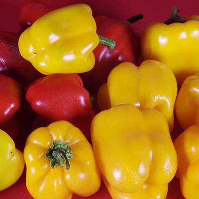 CYBEXIS Yellow Red MixedCapsicum Bell Pepper Seeds2400 Seeds Seed(2400 per packet)