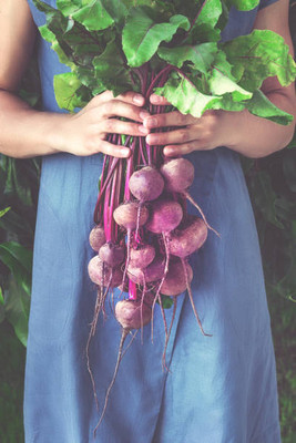 AFARTIOBINA 66 PCS BEETROOT SEEDS-A02 Seed(66 per packet)