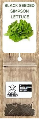 Quentova Black-Seeded Simpson Lettuce 0.5gm-KTL-2W Seed(400 per packet)