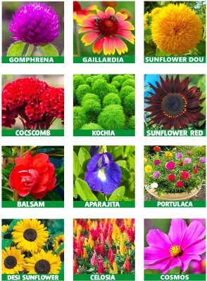 ARTA Summer Blooms Collection - 10 Variety Flower Seeds Combo Pack Seed(2400 per packet)