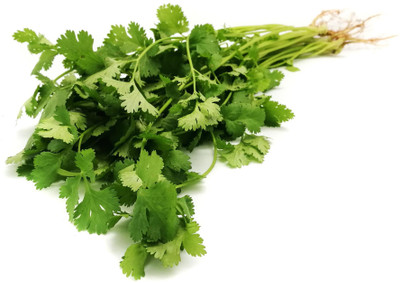 ZIXA Coriander- Eureka Slow Bolt Seed(2000 per packet)