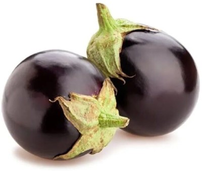 Aywal American Brinjal F1 Hybrid Variety Vegetable Seed(35 g)