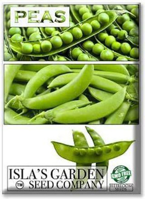 VibeX ® XLR-31 Early Frosty Pea Seeds Seed(50 per packet)