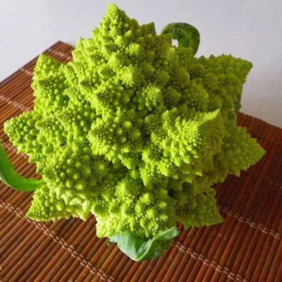 CYBEXIS Green Pagoda Pagoda Cauliflower Seed500 Seeds Seed(500 per packet)