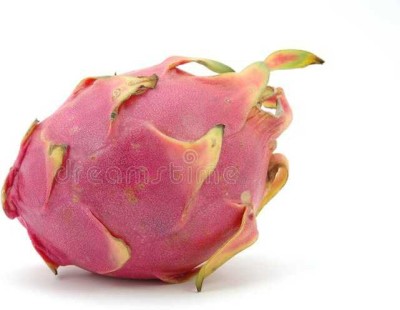 Oliver F1@quality dragon fruit seed Seed(145 per packet)