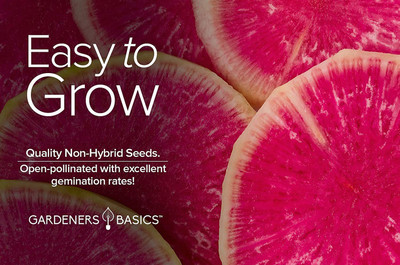 CYBEXIS LXI-90 - Watermelon Radish - (250 Seeds) Seed(250 per packet)