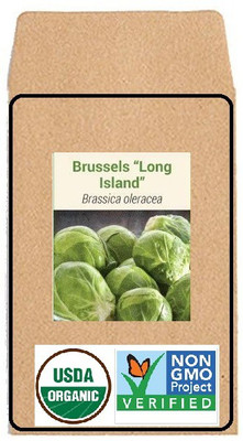CYBEXIS Hybrid Seeds-Brussels Sprouts2000 Seeds Seed(2000 per packet)
