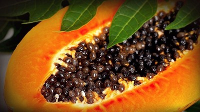 KLARKEE Sweet Papaya Carica papaya Seed Seed(20 per packet)