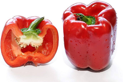 BDSresolve Bell Pepper Capsicum Red Hybrid/capsicum seeds 20 Seed(20 per packet)