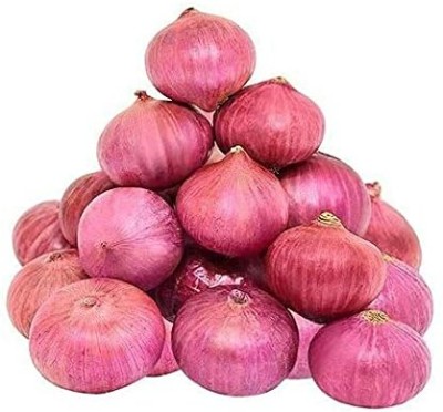 TRICONE Onion Seed(207 per packet)