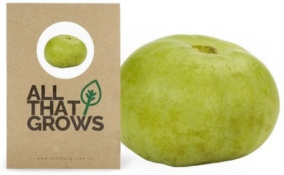 WILLVINE High Germination APPLE GOURD SEEDS-[100 Seeds] Seed(100 per packet)