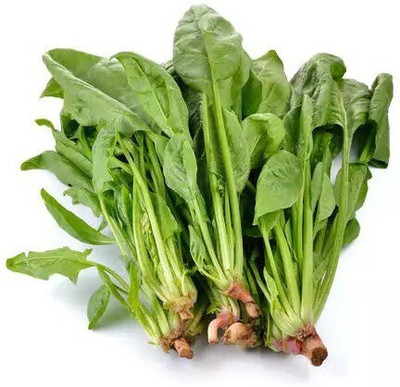 Cloud Farm Spinach Seed(200 per packet)