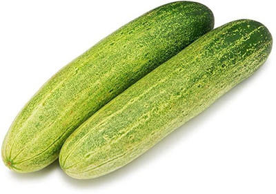KANAYA Cucumber Seed(20 per packet)