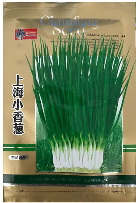 CYBEXIS Heirloom Original Shanghai Chives2800 Seeds Seed(2800 per packet)