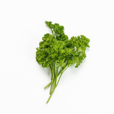 XOLDAA CORIANDER Seed(50 per packet)