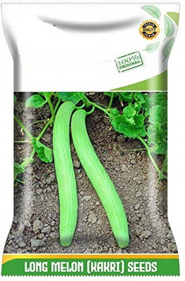 CYBEXIS PAU-28 - Kakdi / Long Melon - (1350 Seeds) Seed(1350 per packet)