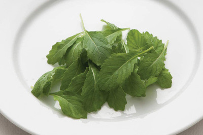 CYBEXIS KGF -20 - Arugula Wasabi - (2250 Seeds) Seed(2250 per packet)